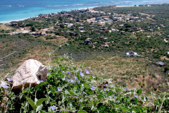 Cabo-Pulmo-Hill