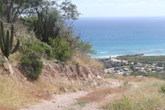 Cabo-Pulmo-from-the-hillside